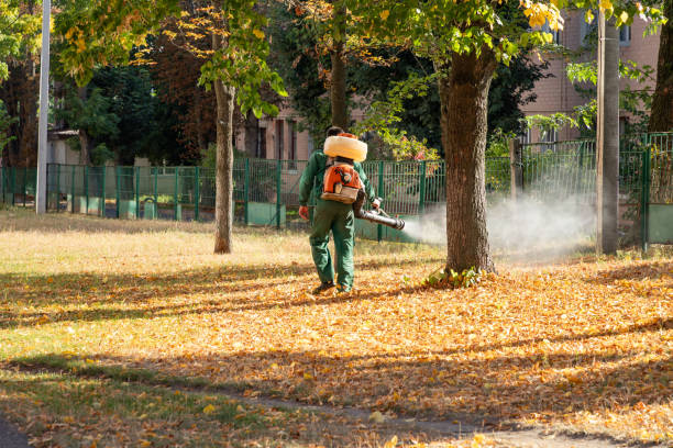 Bird Control in Flagtown, NJ